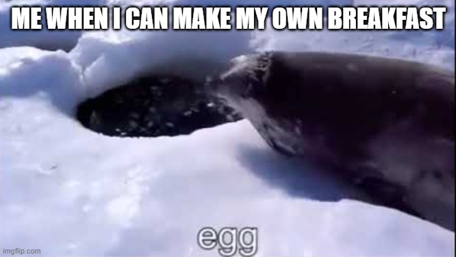 eGG - Imgflip