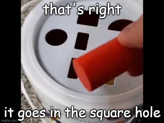that's right it goes in the square hole | that's right; it goes in the square hole | image tagged in memes | made w/ Imgflip meme maker