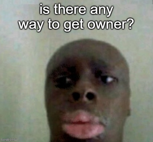 k dan | is there any way to get owner? | image tagged in k dan | made w/ Imgflip meme maker