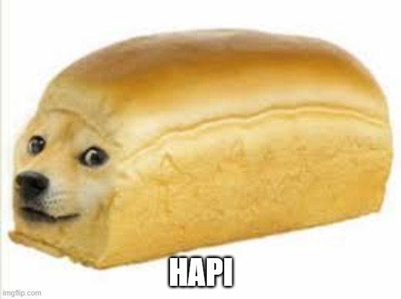 no context | HAPI | image tagged in doge bread | made w/ Imgflip meme maker