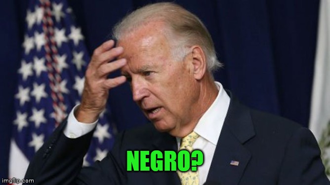 Joe Biden worries | NEGRO? | image tagged in joe biden worries | made w/ Imgflip meme maker