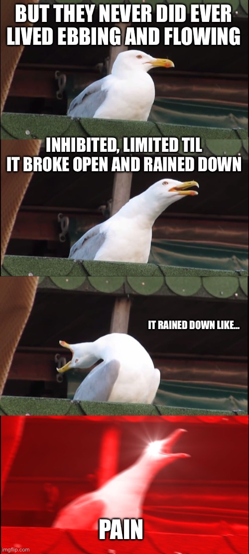 Inhaling Seagull Meme | BUT THEY NEVER DID EVER LIVED EBBING AND FLOWING; INHIBITED, LIMITED TIL IT BROKE OPEN AND RAINED DOWN; IT RAINED DOWN LIKE…; PAIN | image tagged in memes,inhaling seagull | made w/ Imgflip meme maker
