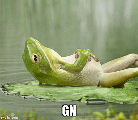 FROG GOOD NIGHT | GN | image tagged in frog good night | made w/ Imgflip meme maker