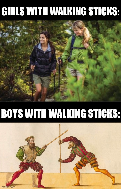GIRLS WITH WALKING STICKS:; BOYS WITH WALKING STICKS: | image tagged in boys vs girls,walking sticks,hema | made w/ Imgflip meme maker