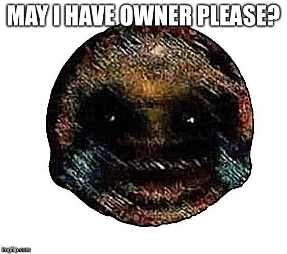 Dark humor is when | MAY I HAVE OWNER PLEASE? | image tagged in dark humor is when,i just want head,please,im desprate,e | made w/ Imgflip meme maker