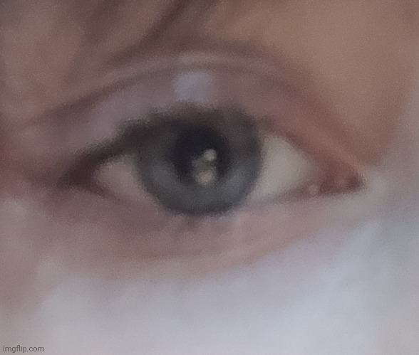 Eye reveal ig even tho yall already know what i look like so its useless | image tagged in yes,mwah,cmere sunny boii,idfk,help,the quality tho | made w/ Imgflip meme maker