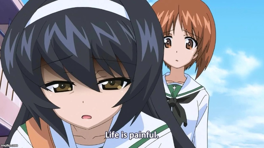 Surely this can spark some controversy? Plz? | image tagged in life is painful | made w/ Imgflip meme maker