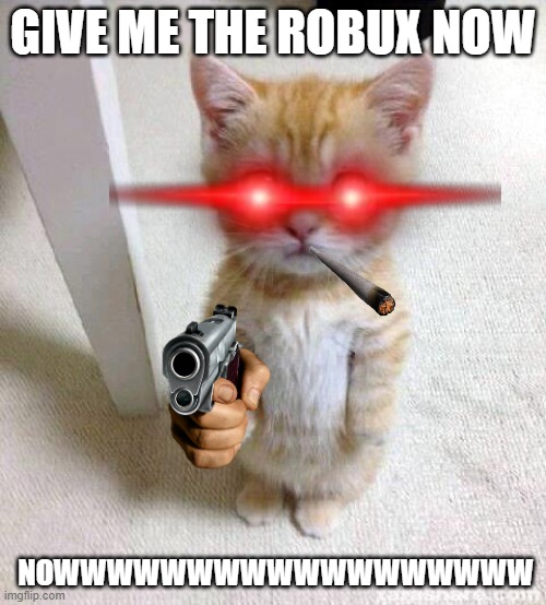 im for real | GIVE ME THE ROBUX NOW; NOWWWWWWWWWWWWWWWWWW | image tagged in memes,cute cat | made w/ Imgflip meme maker