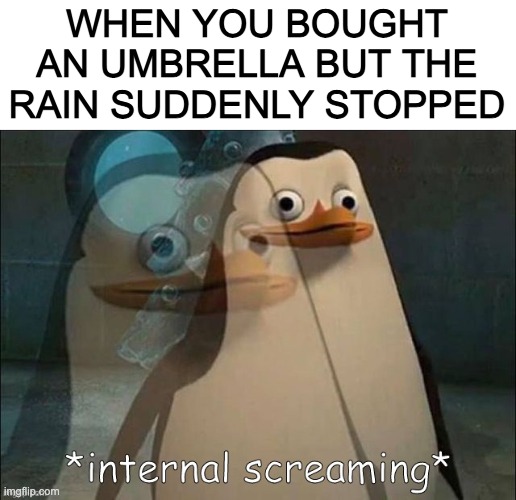 now that hurts | WHEN YOU BOUGHT AN UMBRELLA BUT THE RAIN SUDDENLY STOPPED | image tagged in private internal screaming | made w/ Imgflip meme maker