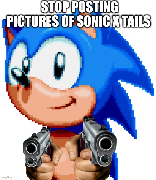 sonic with a gun |  STOP POSTING PICTURES OF SONIC X TAILS | image tagged in sonic with a gun | made w/ Imgflip meme maker