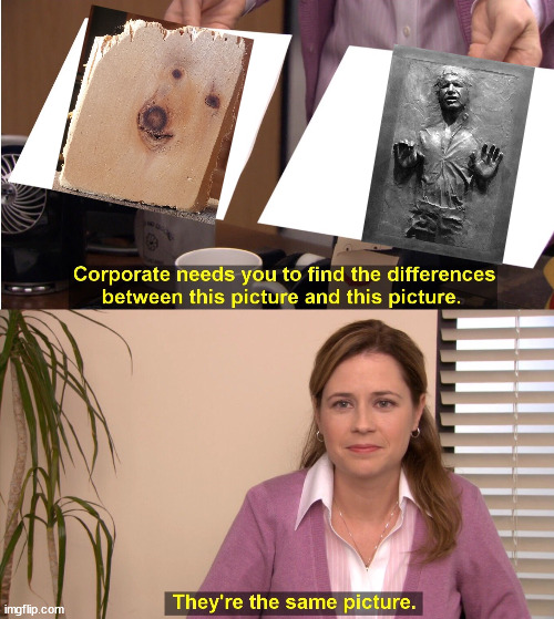 Truer words have never been spoken... | image tagged in they're the same picture,doggo,wood doggo,star wars,han solo,han solo frozen carbonite | made w/ Imgflip meme maker