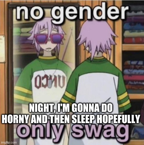 no gender only swag | NIGHT, I'M GONNA DO HORNY AND THEN SLEEP HOPEFULLY | image tagged in no gender only swag | made w/ Imgflip meme maker