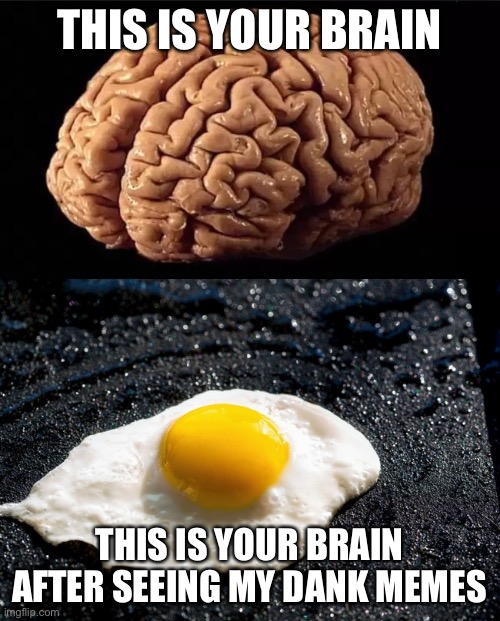 Beware dank memes | THIS IS YOUR BRAIN; THIS IS YOUR BRAIN AFTER SEEING MY DANK MEMES | image tagged in this is your brain,fried,egg | made w/ Imgflip meme maker