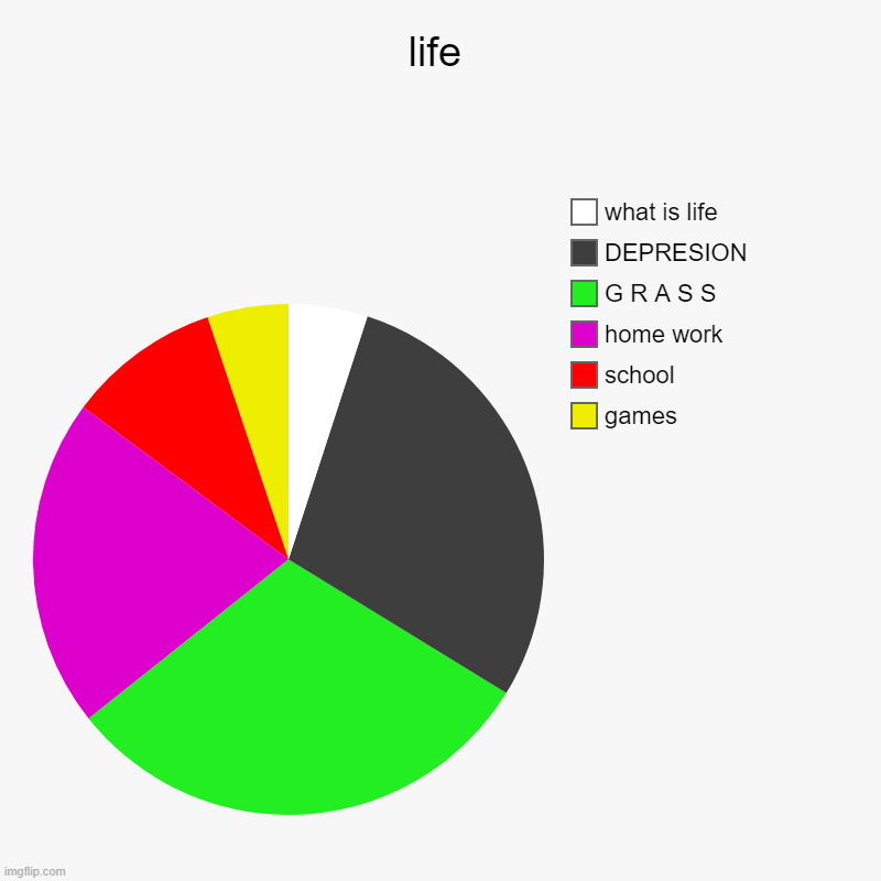 life | games, school, home work, G R A S S, DEPRESION, what is life | image tagged in charts,pie charts | made w/ Imgflip chart maker