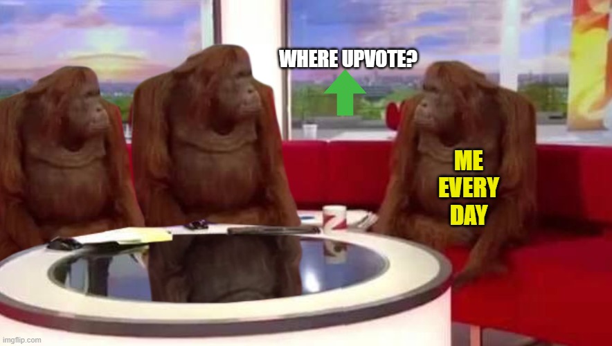 A sensible question | WHERE UPVOTE? ME
EVERY
DAY | image tagged in where monkey,memes,upvote begging | made w/ Imgflip meme maker