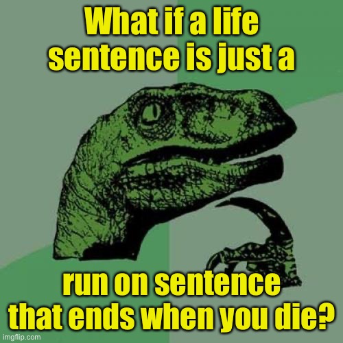 A really long run on sentence | What if a life sentence is just a; run on sentence that ends when you die? | image tagged in memes,philosoraptor | made w/ Imgflip meme maker