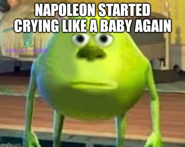 Monsters Inc | NAPOLEON STARTED CRYING LIKE A BABY AGAIN | image tagged in monsters inc | made w/ Imgflip meme maker