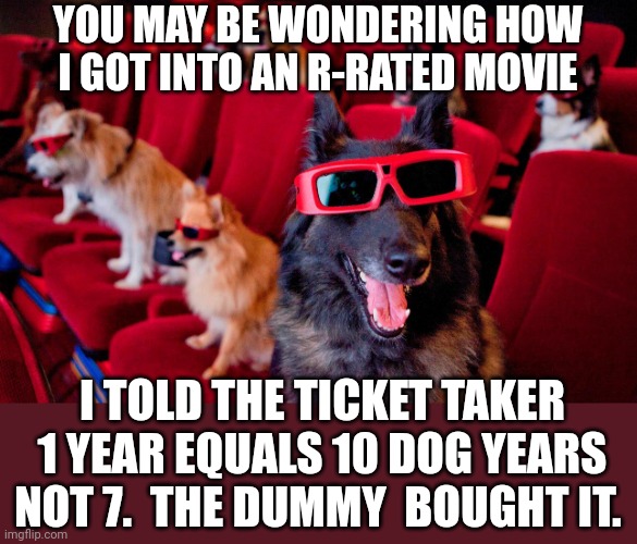 His Fake ID Says He's 21 | YOU MAY BE WONDERING HOW I GOT INTO AN R-RATED MOVIE; I TOLD THE TICKET TAKER 1 YEAR EQUALS 10 DOG YEARS NOT 7.  THE DUMMY  BOUGHT IT. | image tagged in dog,movies | made w/ Imgflip meme maker