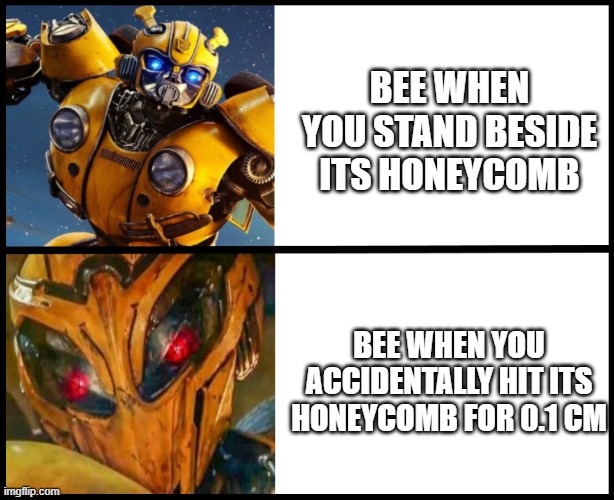 Bumblebee hates you if you do so | BEE WHEN YOU STAND BESIDE ITS HONEYCOMB; BEE WHEN YOU ACCIDENTALLY HIT ITS HONEYCOMB FOR 0.1 CM | image tagged in memes | made w/ Imgflip meme maker