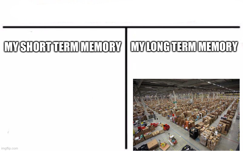 Who Would Win? Meme | MY SHORT TERM MEMORY; MY LONG TERM MEMORY | image tagged in memes,who would win | made w/ Imgflip meme maker