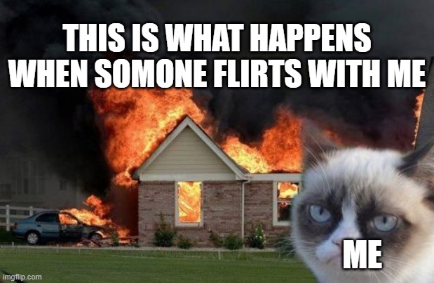 I don't like it when people flirt with me. | THIS IS WHAT HAPPENS WHEN SOMONE FLIRTS WITH ME; ME | image tagged in memes,burn kitty,grumpy cat | made w/ Imgflip meme maker