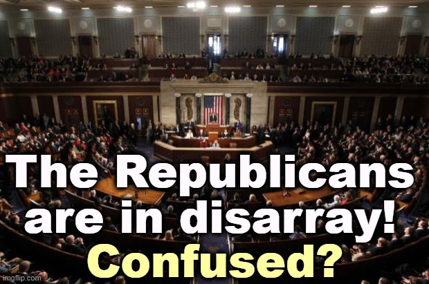 I thought only Democrats did that.  Well, well, well. | The Republicans are in disarray! Confused? | image tagged in congress,republicans,split,confusion | made w/ Imgflip meme maker