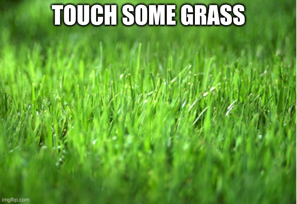 grass is greener | TOUCH SOME GRASS | image tagged in grass is greener | made w/ Imgflip meme maker