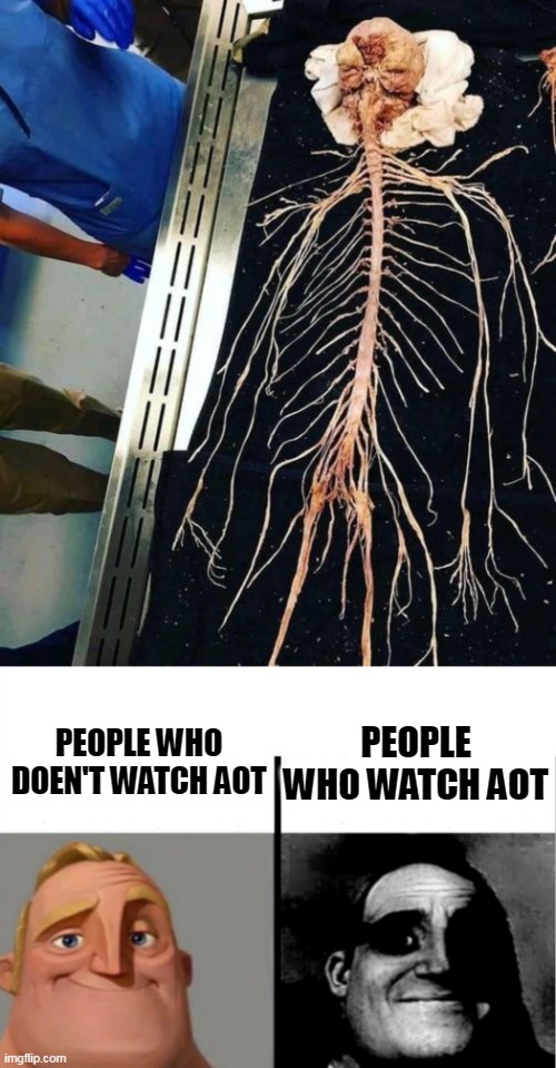 PEOPLE WHO WATCH AOT; PEOPLE WHO DOEN'T WATCH AOT | image tagged in teacher's copy,memes,aot,anime | made w/ Imgflip meme maker