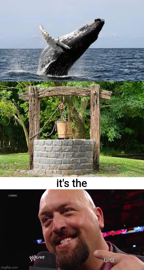 Only the real OG's know |  it's the | image tagged in whale,smiling big show,wwe,iykyk,if you know you know,memes | made w/ Imgflip meme maker