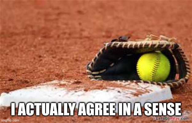 softball lives matter | I ACTUALLY AGREE IN A SENSE | image tagged in softball lives matter | made w/ Imgflip meme maker