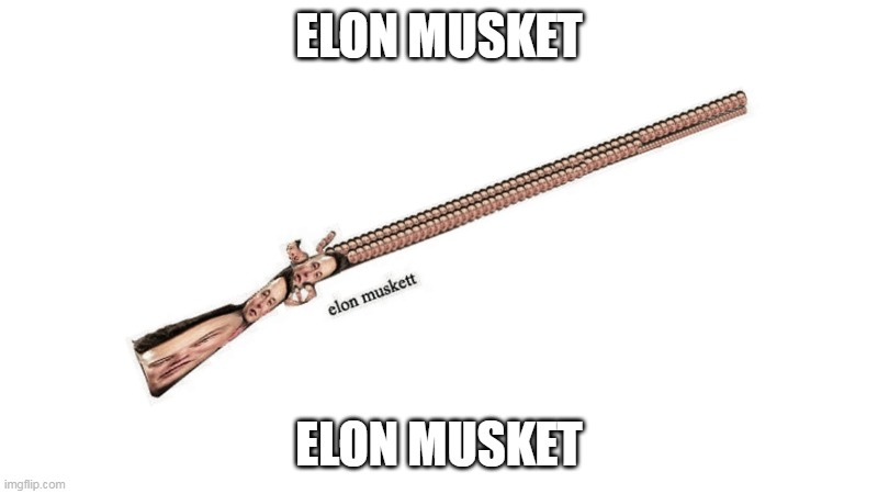 Elon Musket | ELON MUSKET; ELON MUSKET | image tagged in elon musket | made w/ Imgflip meme maker