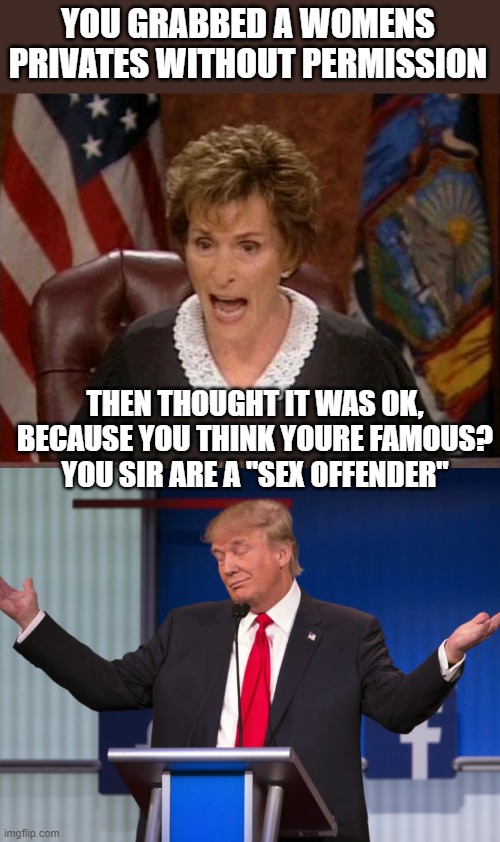 YOU GRABBED A WOMENS PRIVATES WITHOUT PERMISSION THEN THOUGHT IT WAS OK, BECAUSE YOU THINK YOURE FAMOUS? YOU SIR ARE A "SEX OFFENDER" | image tagged in judge judy,donald trump shrugging | made w/ Imgflip meme maker