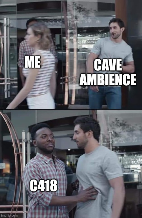 black guy stopping | ME CAVE AMBIENCE C418 | image tagged in black guy stopping | made w/ Imgflip meme maker