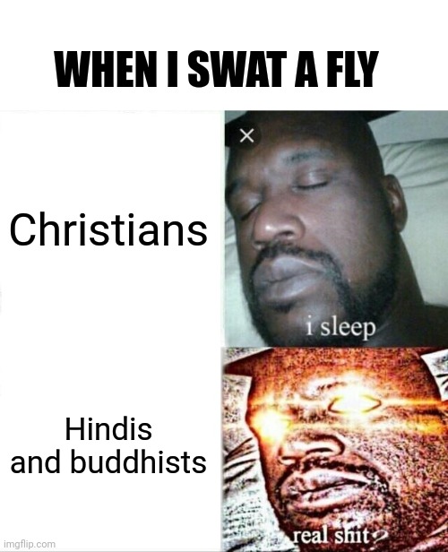 Swatting flies Problem | WHEN I SWAT A FLY; Christians; Hindis and buddhists | image tagged in memes,sleeping shaq | made w/ Imgflip meme maker