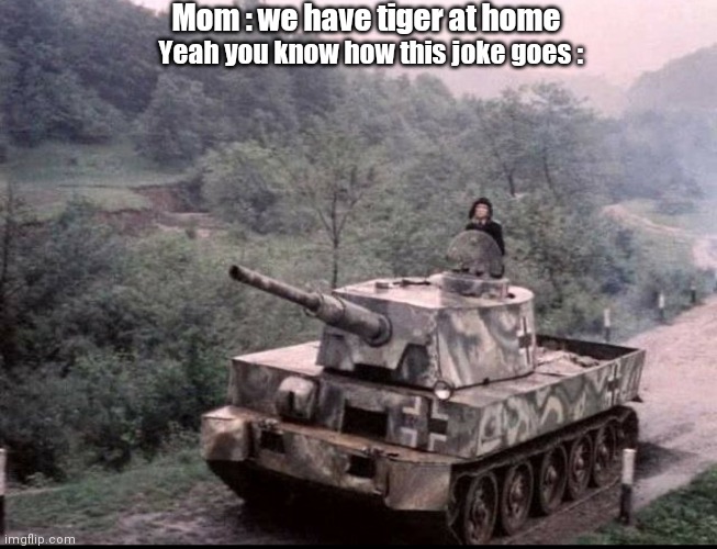 Yet another slander at bad movie recreations of tanks | Mom : we have tiger at home; Yeah you know how this joke goes : | image tagged in mom can we have,tiger,tank,at home,2 | made w/ Imgflip meme maker