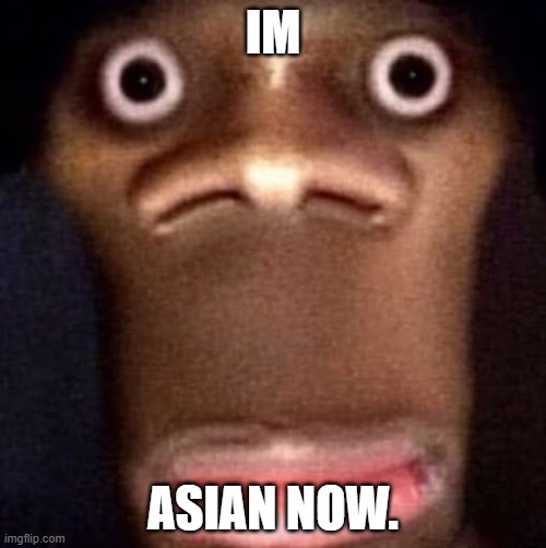 mod : pls die then | IM; ASIAN NOW. | image tagged in i am slut actually | made w/ Imgflip meme maker