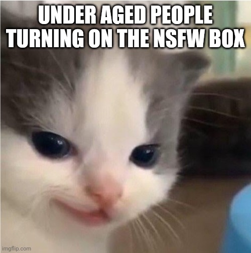 Hehe cat |  UNDER AGED PEOPLE TURNING ON THE NSFW BOX | image tagged in hehe cat | made w/ Imgflip meme maker