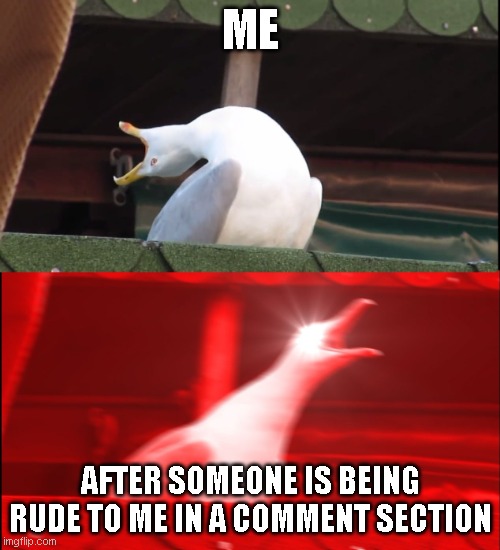 My reactions be like | ME; AFTER SOMEONE IS BEING RUDE TO ME IN A COMMENT SECTION | image tagged in screaming bird | made w/ Imgflip meme maker