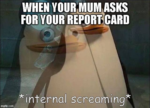 When you choose paddling over boredom: | WHEN YOUR MUM ASKS FOR YOUR REPORT CARD | image tagged in private internal screaming | made w/ Imgflip meme maker