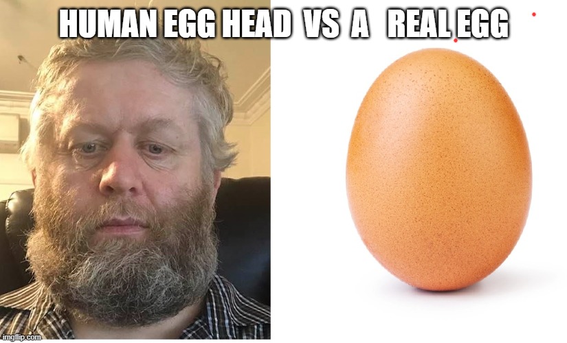 Mario Terence | HUMAN EGG HEAD  VS  A   REAL EGG | image tagged in mario | made w/ Imgflip meme maker