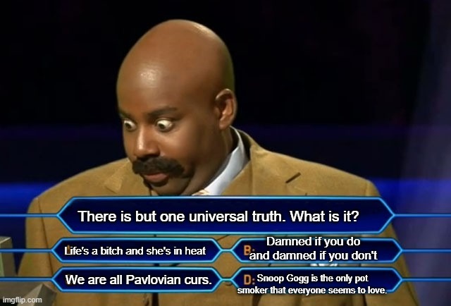 Who wants to be a millionaire? | There is but one universal truth. What is it? Damned if you do and damned if you don't; Life's a bitch and she's in heat; We are all Pavlovian curs. Snoop Gogg is the only pot smoker that everyone seems to love. | image tagged in who wants to be a millionaire | made w/ Imgflip meme maker