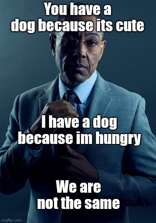 Should i post this on dark humour | You have a dog because its cute; I have a dog because im hungry; We are not the same | image tagged in gus fring we are not the same,dark humor,funny,funny memes,memes | made w/ Imgflip meme maker