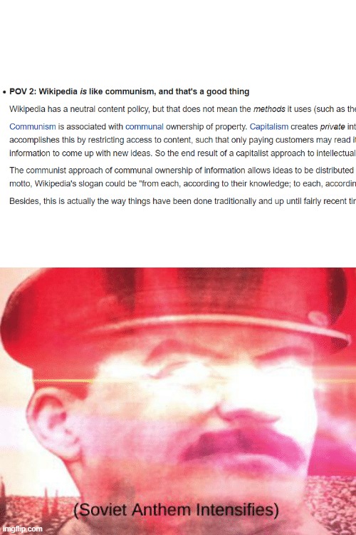 Our Wikipedia | image tagged in blank white template,communism,wikipedia,stalin smile | made w/ Imgflip meme maker