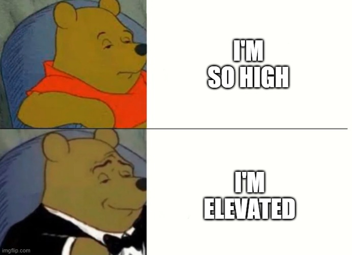 Elevated | I'M SO HIGH; I'M ELEVATED | image tagged in fancy winnie the pooh meme | made w/ Imgflip meme maker