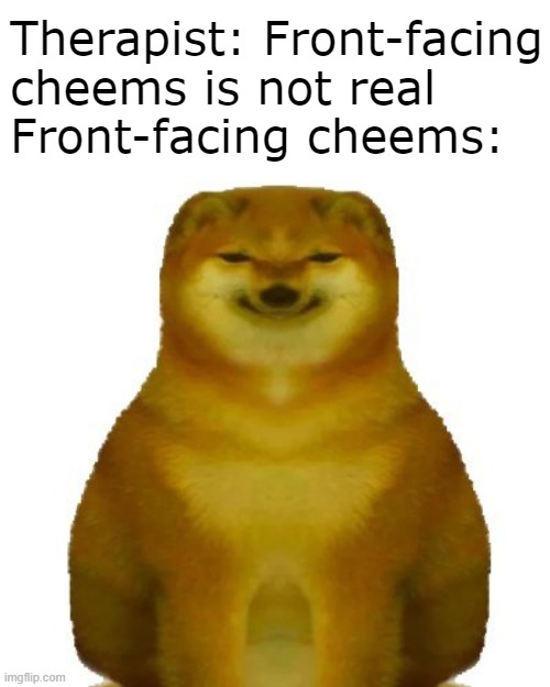 Chems | Therapist: Front-facing cheems is not real
Front-facing cheems: | image tagged in cheems,therapist,front-facing,wide cheems,stare | made w/ Imgflip meme maker
