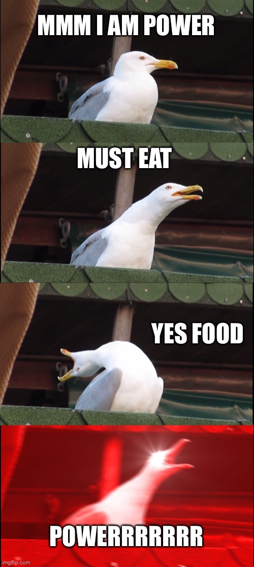 Inhaling Seagull | MMM I AM POWER; MUST EAT; YES FOOD; POWERRRRRRR | image tagged in memes,inhaling seagull | made w/ Imgflip meme maker