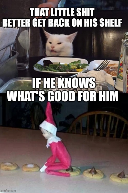 THAT LITTLE SHIT BETTER GET BACK ON HIS SHELF; IF HE KNOWS WHAT'S GOOD FOR HIM | image tagged in smudge the cat | made w/ Imgflip meme maker