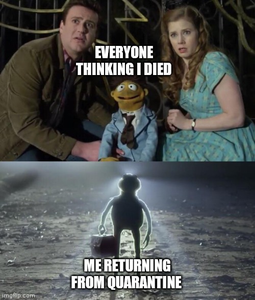 i has returned | EVERYONE THINKING I DIED; ME RETURNING FROM QUARANTINE | image tagged in holy kermit | made w/ Imgflip meme maker