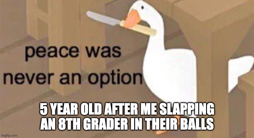 I ACTUALLY DID THIS | 5 YEAR OLD AFTER ME SLAPPING AN 8TH GRADER IN THEIR BALLS | image tagged in untitled goose peace was never an option | made w/ Imgflip meme maker