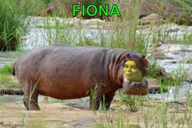 FIONA | made w/ Imgflip meme maker